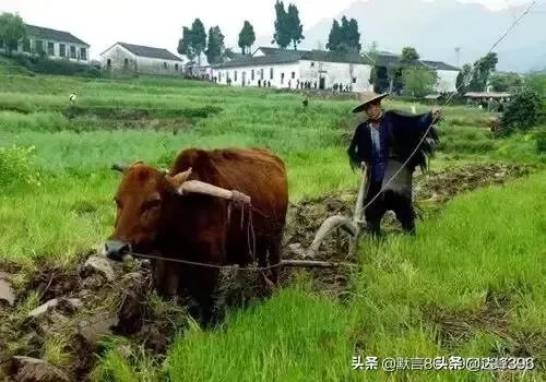 经济学家王福重说“农民对我们吃的粮食贡献并不大？”大家怎么看？