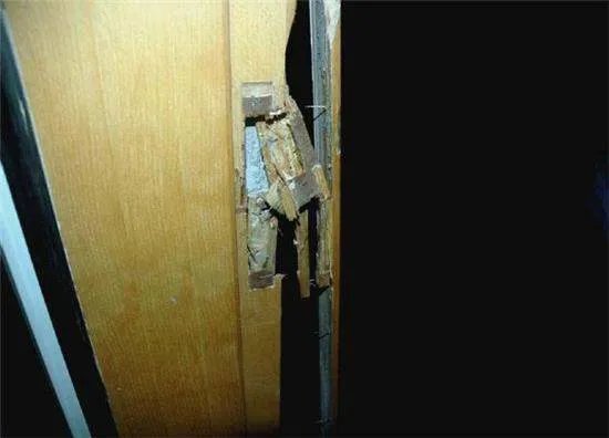 马亮照的住宅被盗案