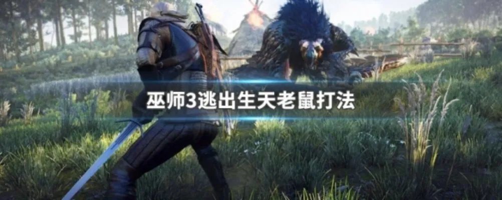 巫师3逃出生天老鼠打法