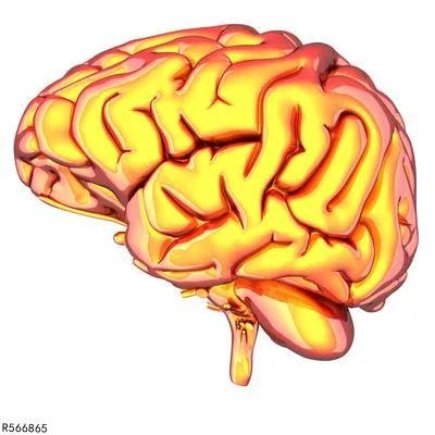 脑白质脱髓鞘改变是什么意思