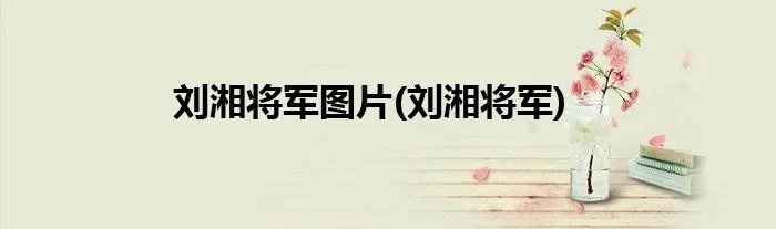 刘湘将军图片(刘湘将军)