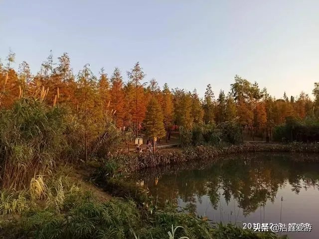 佛山高明山火全部扑灭无人员伤亡，起火原因调查中, 你怎么看？