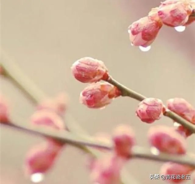 明天立春,你知道立春有哪些忌讳吗?