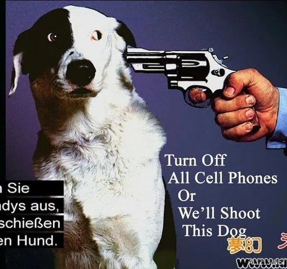 同性大玩SM？十部污力爆表的电影教你成为老司机！