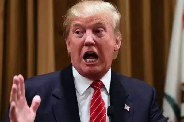 本拉登侄女居然发声支持特朗普，为何会出现这种状况？