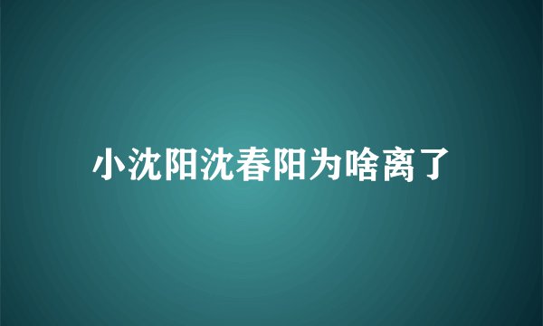 小沈阳沈春阳为啥离了