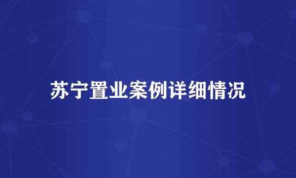 苏宁置业案例详细情况