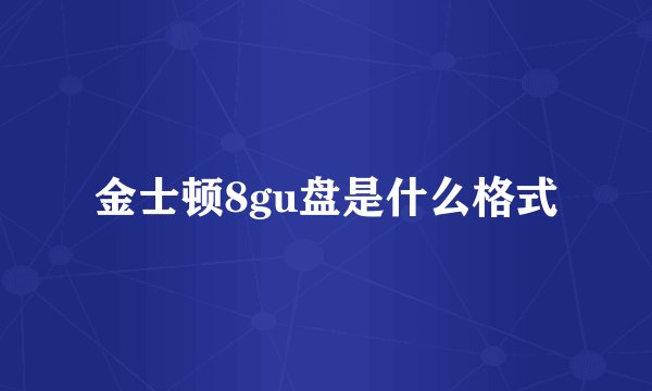 金士顿8gu盘是什么格式