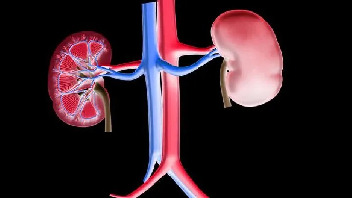 肾盂肾炎的症状有哪些呢？