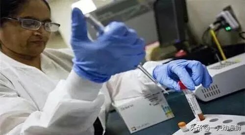 美国是否人为的限制了疫情公布?美国感染的人数会超过中国吗?