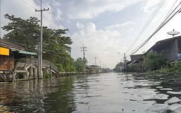 是什么原因导致安徽庐江石大圩决堤的呢?