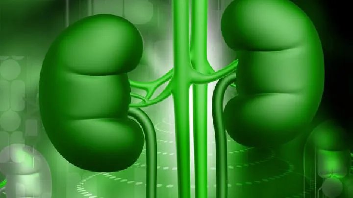 肾盂肾炎的症状有哪些呢？