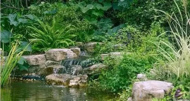 庭院里的这一方石头，历经千年，大有讲究