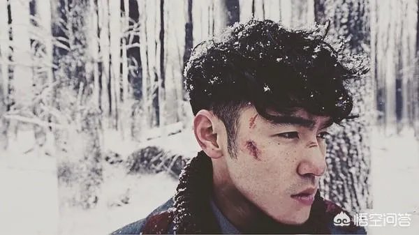 丁嘉文在电视剧《鬼吹灯之黄皮子坟》中的表现如何？