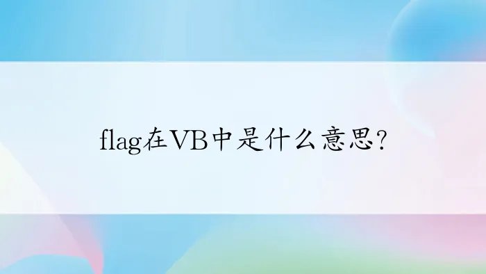 flag在VB中是什么意思？