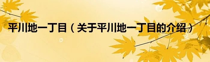 平川地一丁目（关于平川地一丁目的介绍）