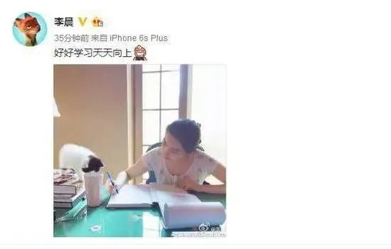 范冰冰怀孕了吧