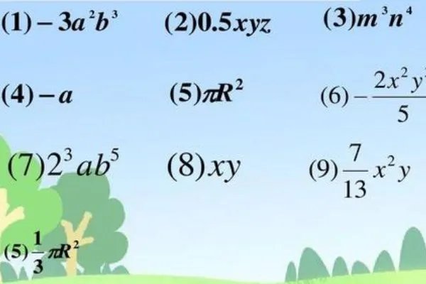 单项式的次数是多少？