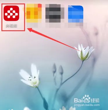 2020年3.15晚会播出时间？315晚会直播入口？