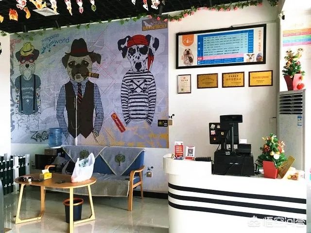 宠物美容店加盟要多少钱？