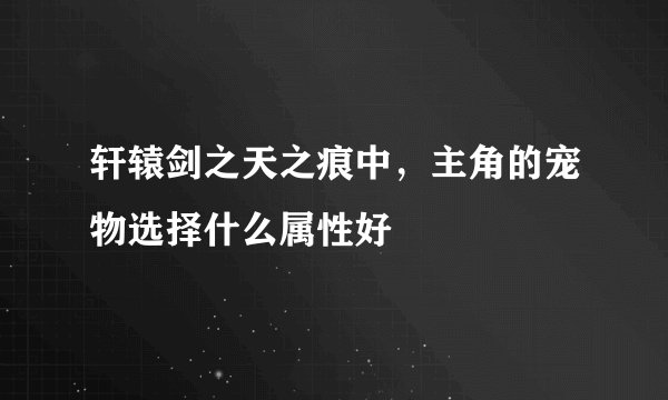 轩辕剑之天之痕中，主角的宠物选择什么属性好