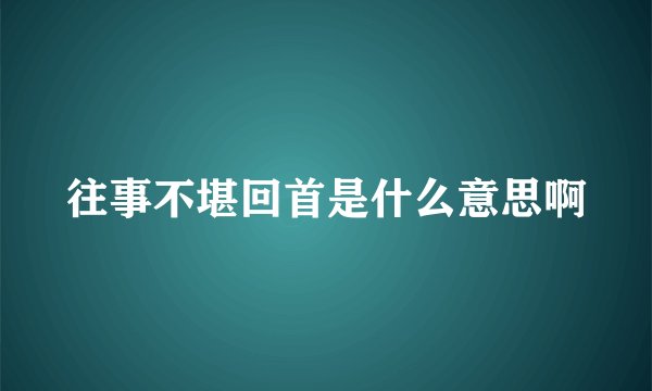 往事不堪回首是什么意思啊
