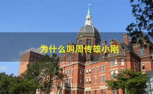 为什么叫周传雄小刚