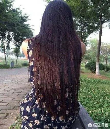 上海女出纳挪千万公款打赏女主播被捕，你怎么看这件事？