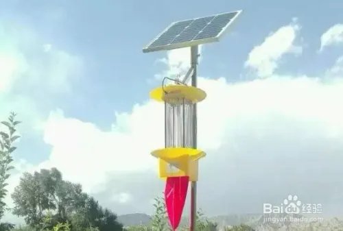 如何操作使用智慧物联网杀虫灯？