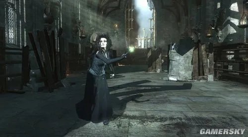 《哈利波特与死亡圣器-下》光盘镜像破解版下载