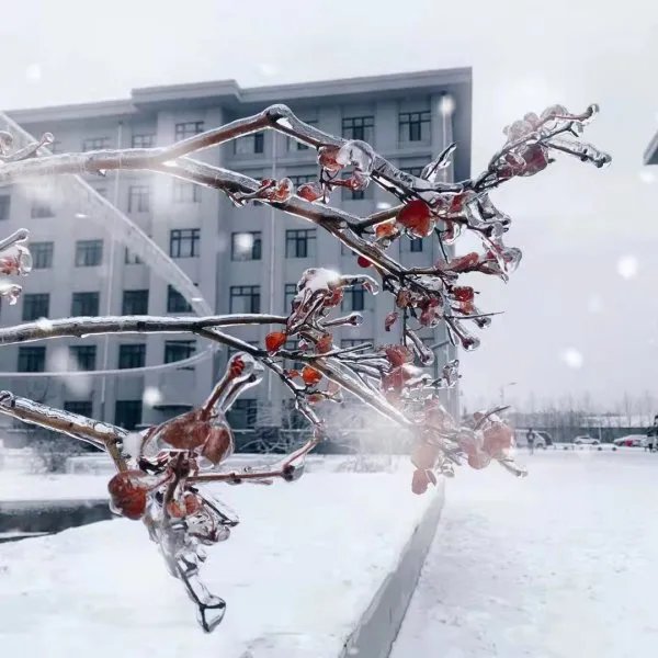 辽宁新增7例本土确诊8例本土无症状,这些确诊者的活动轨迹是怎样的?