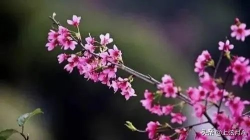 明天立春,你知道立春有哪些忌讳吗?