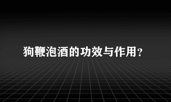 狗鞭泡酒的功效与作用？