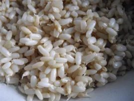 如何烹饪发芽米