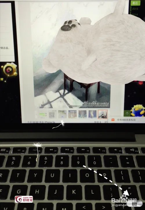 奇幻咔咔App在哪里下载，奇幻咔咔怎么用？