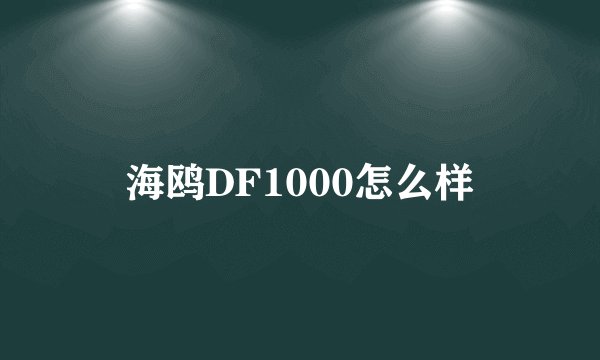 海鸥DF1000怎么样