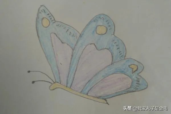 蝴蝶简笔画怎么画?