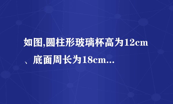 如图,圆柱形玻璃杯高为12cm、底面周长为18cm,在杯内离杯底4cm的点C处有一滴蜂蜜,此时一只蚂蚁正好在杯外壁,离杯上沿4cm与蜂蜜相对的点A处,则蚂蚁到达蜂蜜的最短距离为________cm.