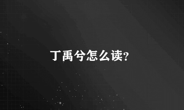 丁禹兮怎么读？