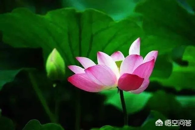 高考失利之后，该不该复读？