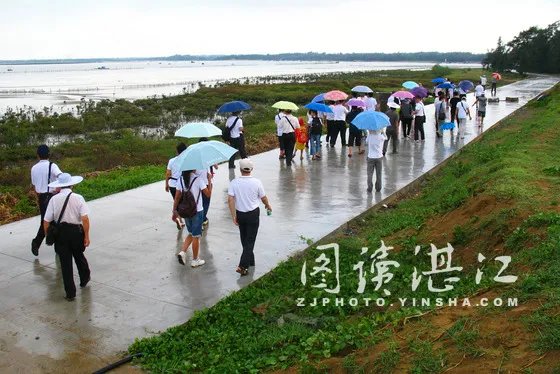 徐闻信息港的发展历程