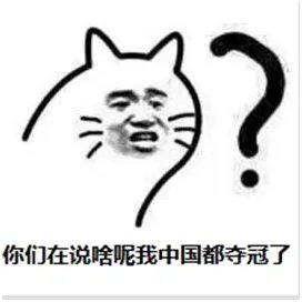 世界杯了 如何看球才算是安排得明明白白？