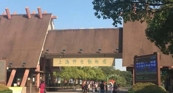 上海周边游必去十大景点