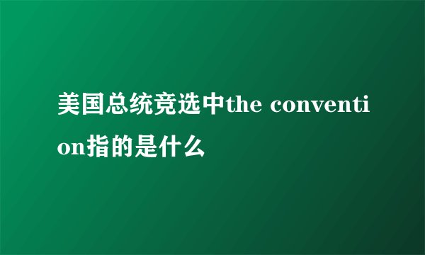 美国总统竞选中the convention指的是什么