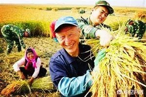 如何看待四川自贡一大爷,高速上“飙”共享单车欲返乡,结果骑反了,怎么看?