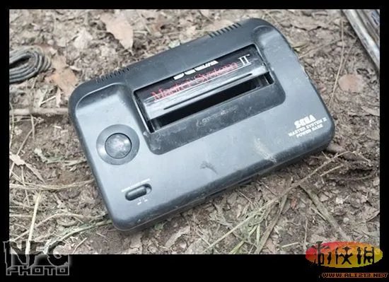 百年洪水来袭 澳洲玩家藏品惨遭洪水蹂躏(图)