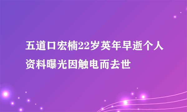 五道口宏楠22岁英年早逝个人资料曝光因触电而去世