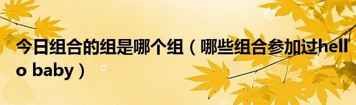 今日组合的组是哪个组（哪些组合参加过hello baby）