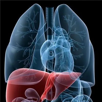 右上腹部隐痛的原因？几重原因？