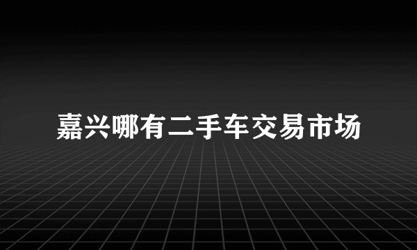 嘉兴哪有二手车交易市场